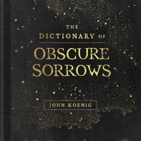 The Dictionary Of Obscure Sorrows by Koenig. John 9781501153648