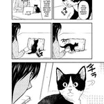 Cat + Gamer Volume 2 by Nadatani. Wataru 9781506727424_1