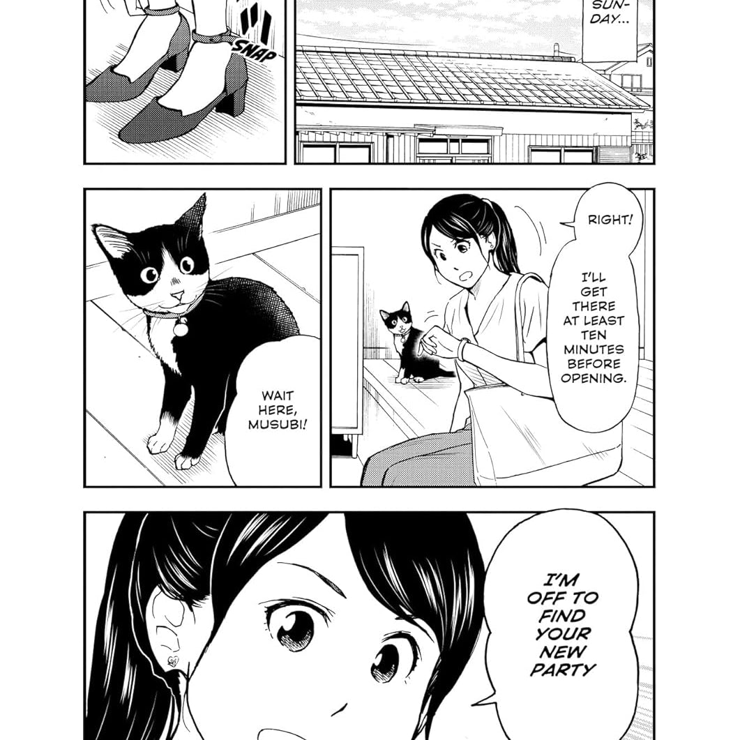 Cat + Gamer Volume 4 by Nadatani. Wataru 9781506736631_1