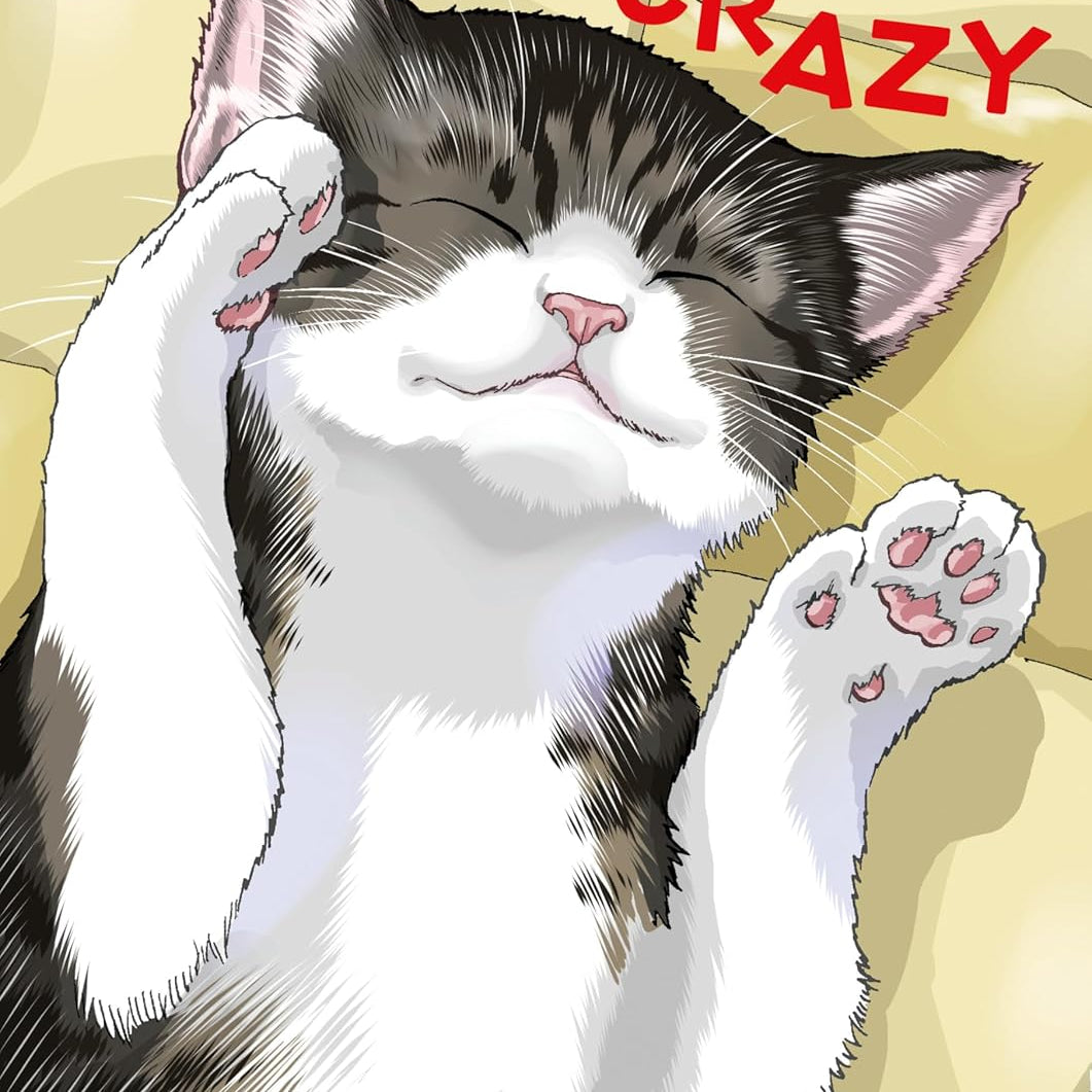 Cat + Crazy Volume 1 9781506747088