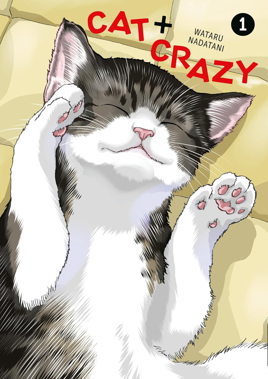 Cat + Crazy Volume 1 9781506747088