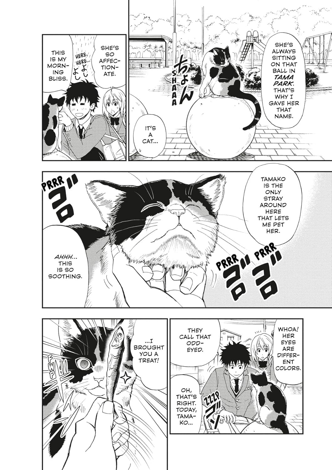 Cat + Crazy Volume 1 9781506747088_10