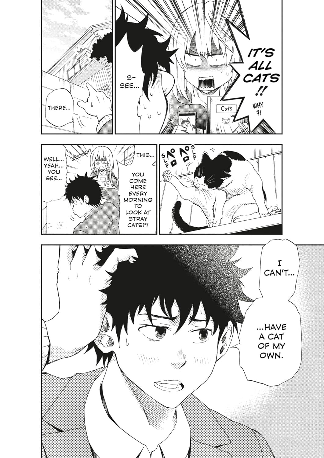 Cat + Crazy Volume 1 9781506747088_8