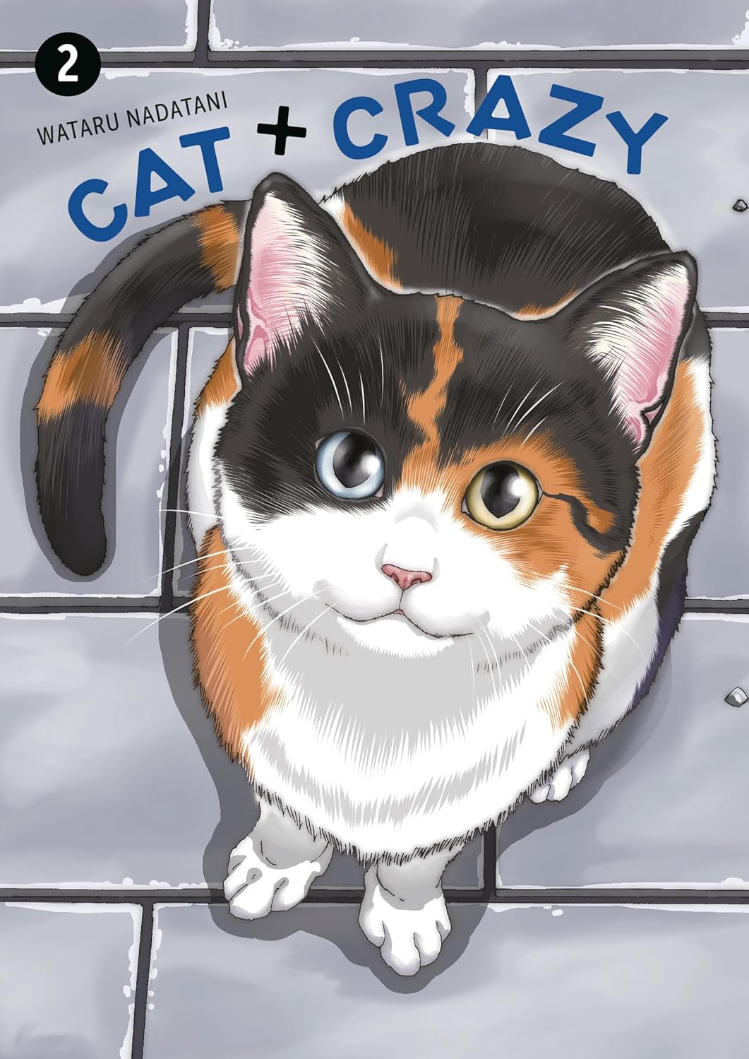 Cat + Crazy Volume 2 by Nadatani. Wataru 20 9781506747095