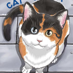 Cat + Crazy Volume 2 by Nadatani. Wataru 20 9781506747095_bcaf8495-7f64-44e9-8a96-cfa65de00e4c