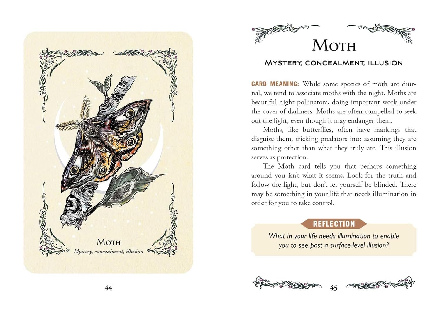 The Green Witch's Oracle Deck by MuRPhy-Hiscock. Arin; Richard. Sara 20 9781507221136_6