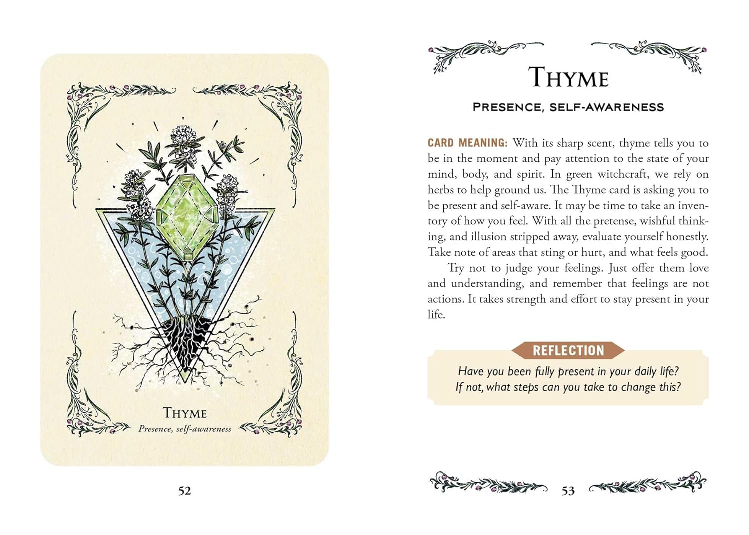 The Green Witch's Oracle Deck by MuRPhy-Hiscock. Arin; Richard. Sara 20 9781507221136_7