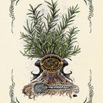 The Green Witch's Oracle Deck by MuRPhy-Hiscock. Arin; Richard. Sara 20 9781507221136_8