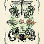 The Green Witch's Oracle Deck by MuRPhy-Hiscock. Arin; Richard. Sara 20 9781507221136_9