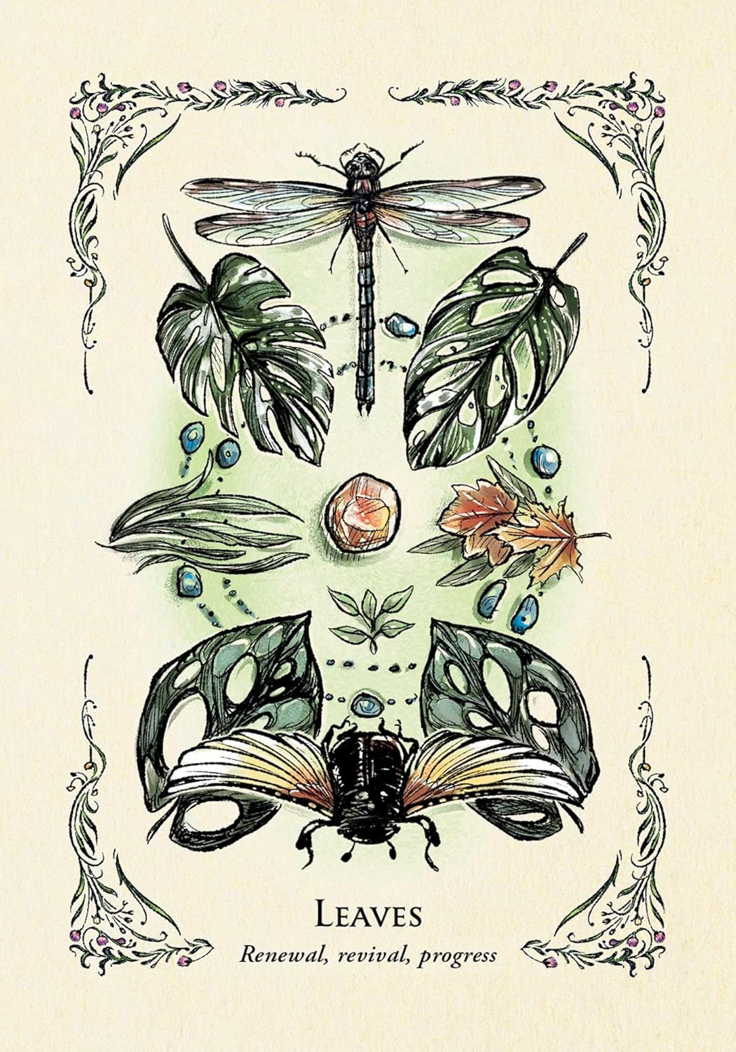 The Green Witch's Oracle Deck by MuRPhy-Hiscock. Arin; Richard. Sara 20 9781507221136_9