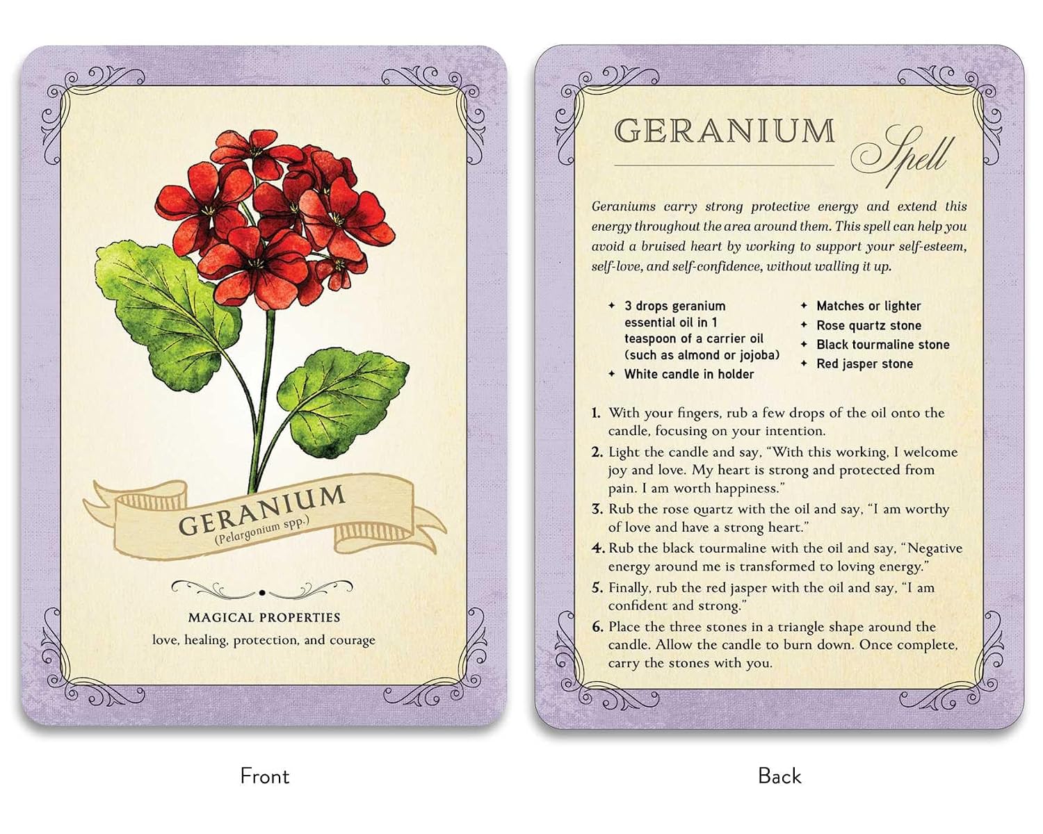 The Green Witch's Deck of Magical Herbalism by Murphy-Hiscock. Arin, Illustrated by Wilcox. Brynn 20 9781507223949_3