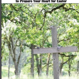 40 Days Of Lint: A Playful Twist To Prepare Your Heart For Easter by Vice, Beth 9781523307890_85eec4b6-ae3d-4b53-bc70-2b70a97ca18e