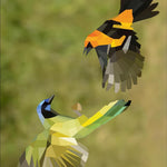 Paint By Sticker: Birds -Workman 9781523500123_3