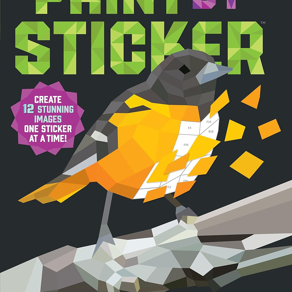 Paint By Sticker: Birds -Workman 9781523500123_5927a7a5-e2b1-4ab2-99e6-e8e1cd12fe2c
