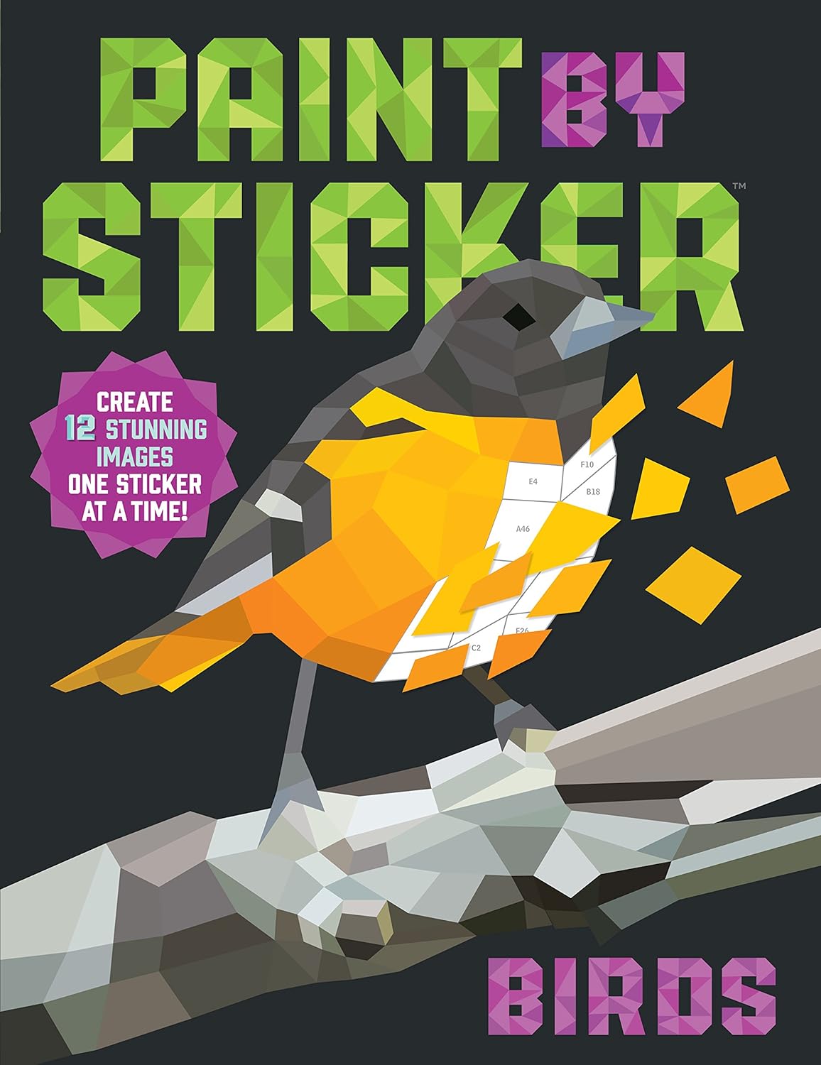 Paint By Sticker: Birds -Workman 9781523500123_5927a7a5-e2b1-4ab2-99e6-e8e1cd12fe2c