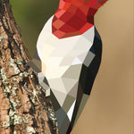 Paint By Sticker: Birds -Workman 9781523500123_6
