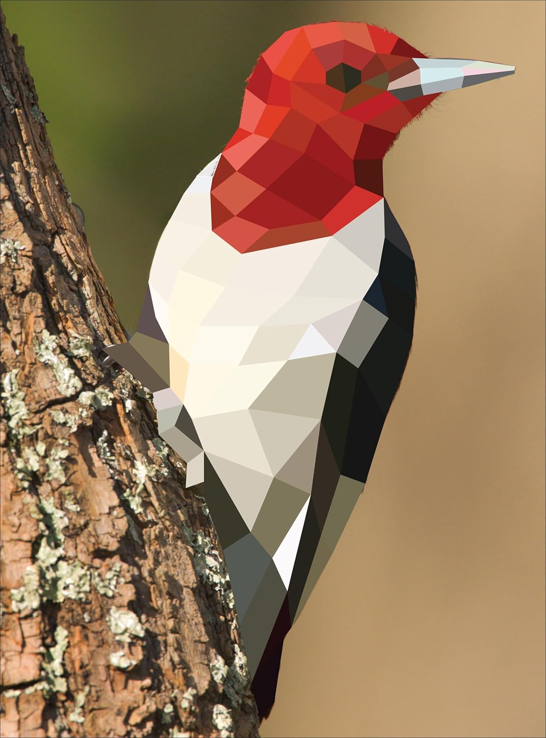 Paint By Sticker: Birds -Workman 9781523500123_6