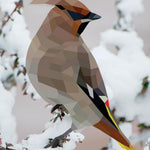 Paint By Sticker: Birds -Workman 9781523500123_7