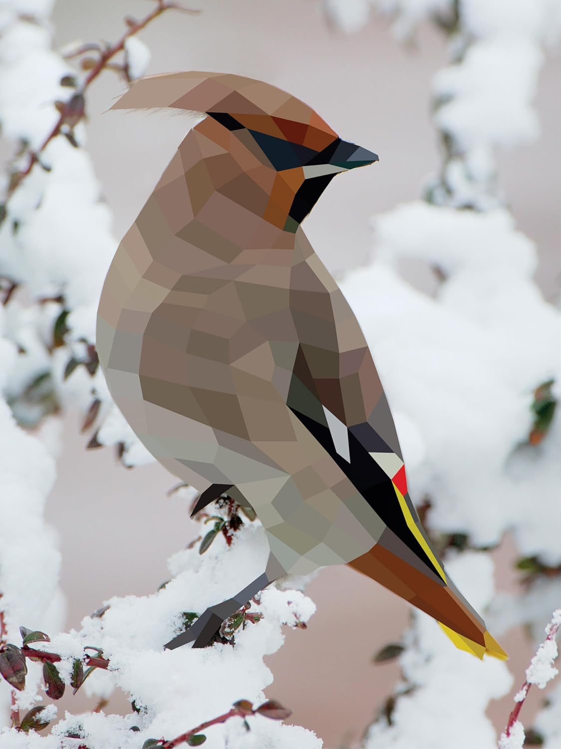 Paint By Sticker: Birds -Workman 9781523500123_7