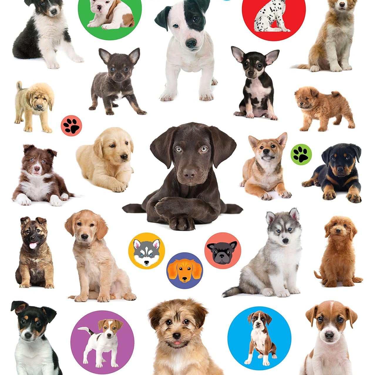Puppies Eyelike Stickers by Workman 9781523502943