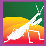 Paint By Sticker Kids: Beautiful Bugs -Workman 9781523502950_3