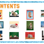 Paint By Sticker: Cats -Workman 9781523504480_2