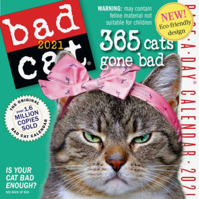 BAD CAT PAGE-A-DAY CALENDAR 2021 9781523508334_74bb821b-2877-441e-90b6-e6340f9e6d07