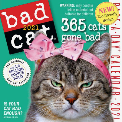 BAD CAT PAGE-A-DAY CALENDAR 2021 9781523508334_74bb821b-2877-441e-90b6-e6340f9e6d07