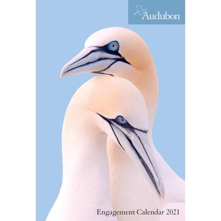 AUDUBON ENGAGEMENT CALENDAR 2021 9781523508693