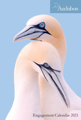 AUDUBON ENGAGEMENT CALENDAR 2021 9781523508693