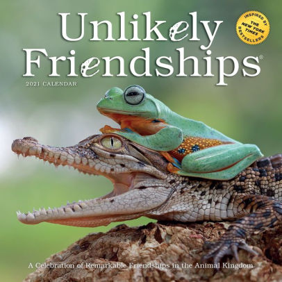 UNLIKELY FRIENDSHIPS WALL CALENDAR 2021 9781523508716_97f7b7e7-f222-458a-b1c7-43e64575b8a8