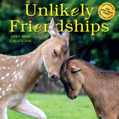 UNLIKELY FRIENDSHIPS MINI WALL CALENDAR 2021 9781523508723_895ba935-4be6-4de7-bf17-3280d80b2024