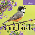 AUDUBON SONGBIRDS MINI WALL CALENDAR 2021 9781523508891