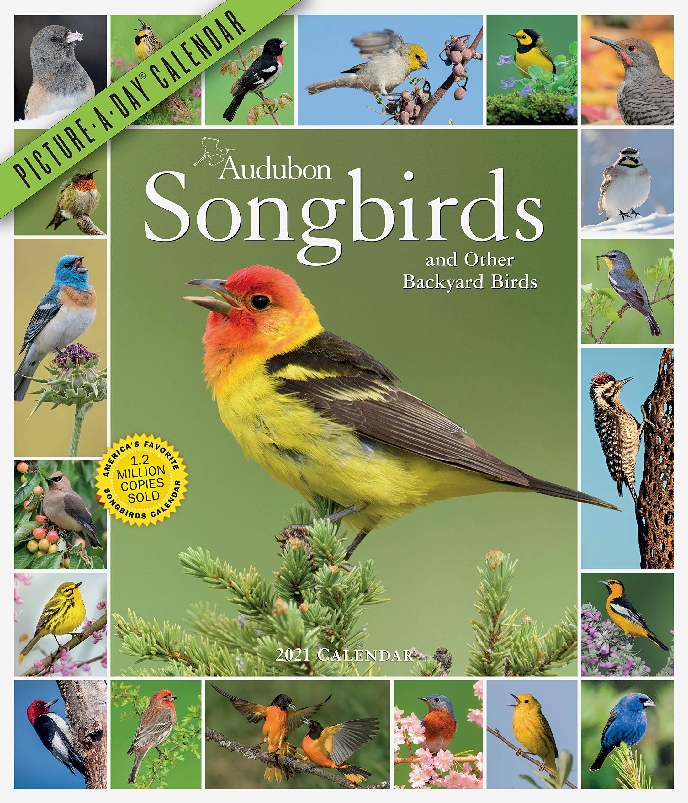AUDUBON SONGBIRDS AND OTHER BACKYARD BIRDS PICTURE-A-DAY WALL CALENDAR 2021 9781523508907