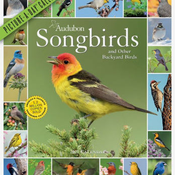AUDUBON SONGBIRDS AND OTHER BACKYARD BIRDS PICTURE-A-DAY WALL CALENDAR 2021 9781523508907