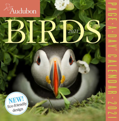 AUDUBON BIRDS PAGE-A-DAY CALENDAR 2021 9781523508990_70b241e8-53cf-4b5e-b836-cb20373ad411