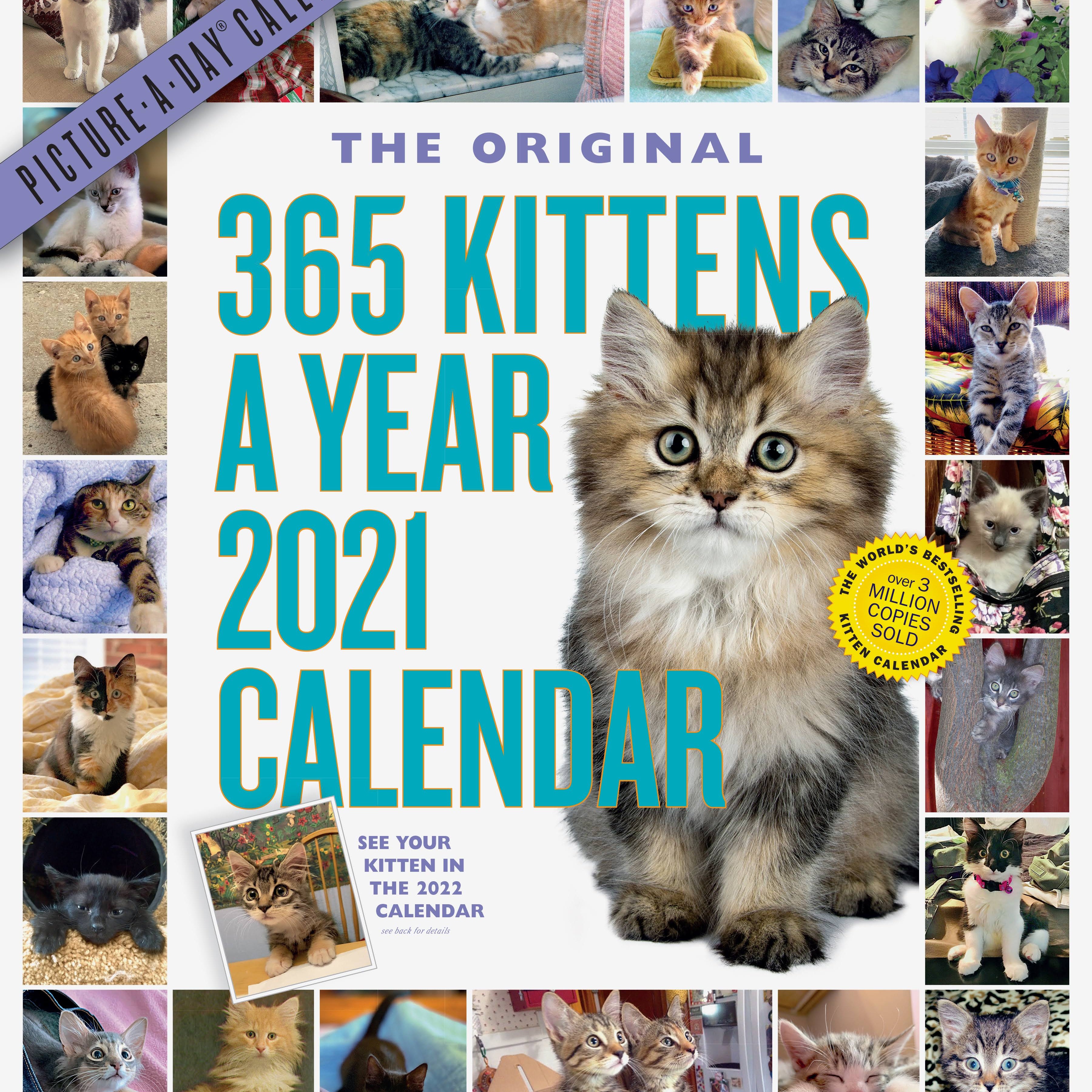365 KITTENS-A-YEAR PICTURE-A-DAY WALL CALENDAR 2021 9781523509010