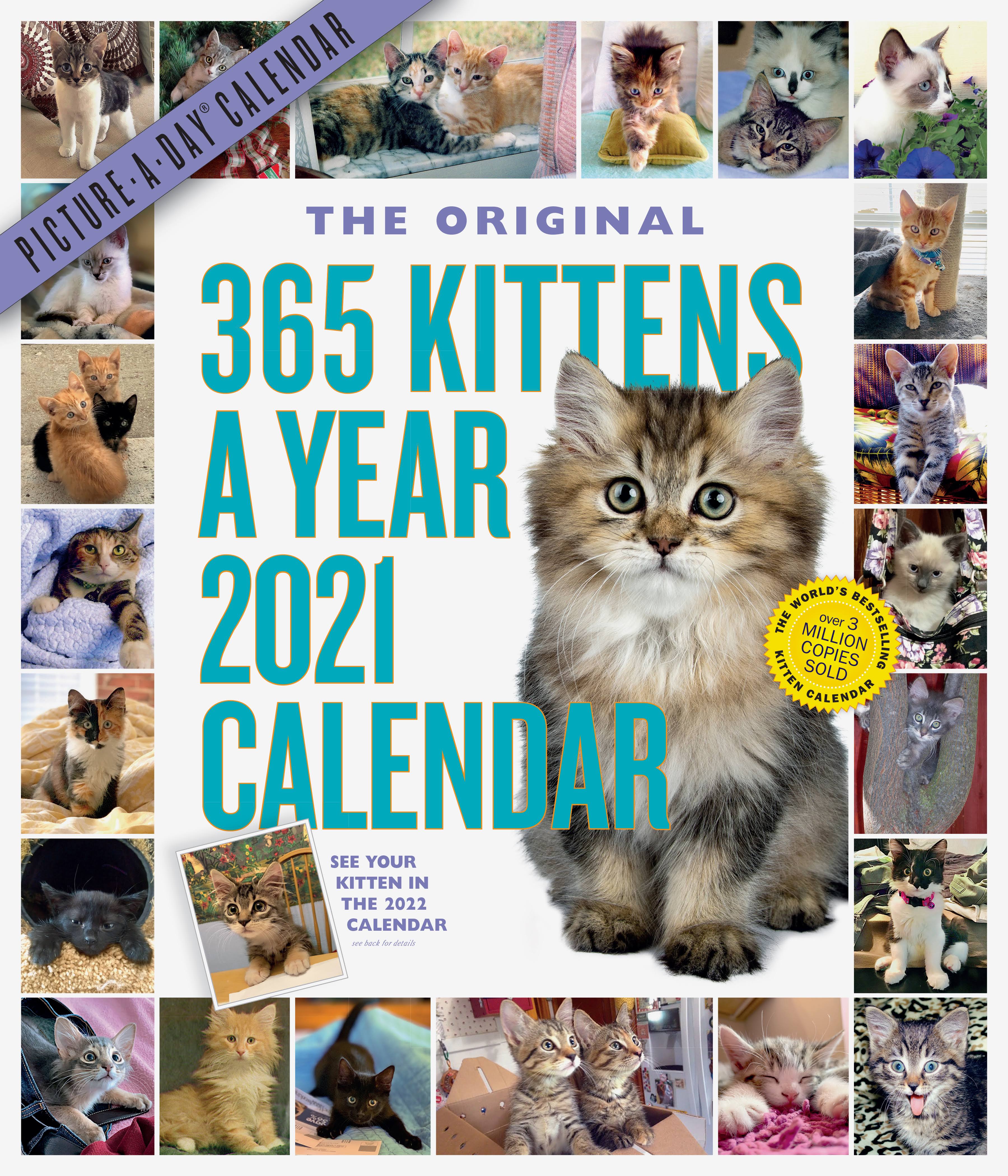 365 KITTENS-A-YEAR PICTURE-A-DAY WALL CALENDAR 2021 9781523509010