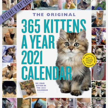 365 KITTENS-A-YEAR PICTURE-A-DAY WALL CALENDAR 2021 9781523509010