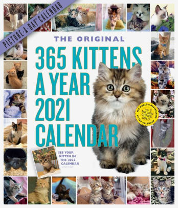 365 KITTENS-A-YEAR PICTURE-A-DAY WALL CALENDAR 2021 9781523509010