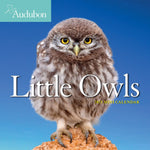 AUDUBON LITTLE OWLS MINI WALL CALENDAR 2021 9781523509065