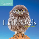 AUDUBON LITTLE OWLS MINI WALL CALENDAR 2021 9781523509065