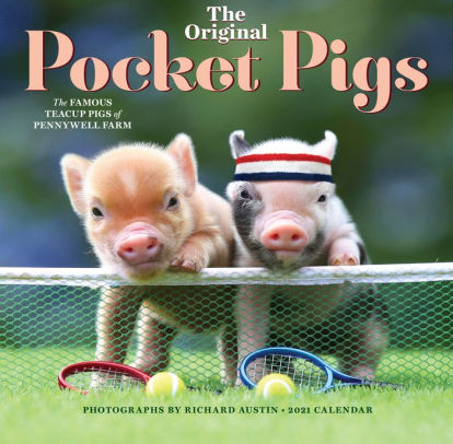 THE ORIGINAL POCKET PIGS WALL CALENDAR 2021 9781523509188