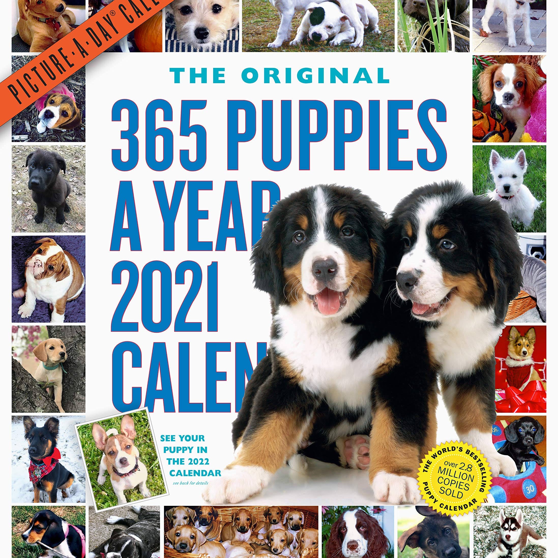 365 PUPPIES-A-YEAR PICTURE-A-DAY WALL CALENDAR 2021 9781523509355