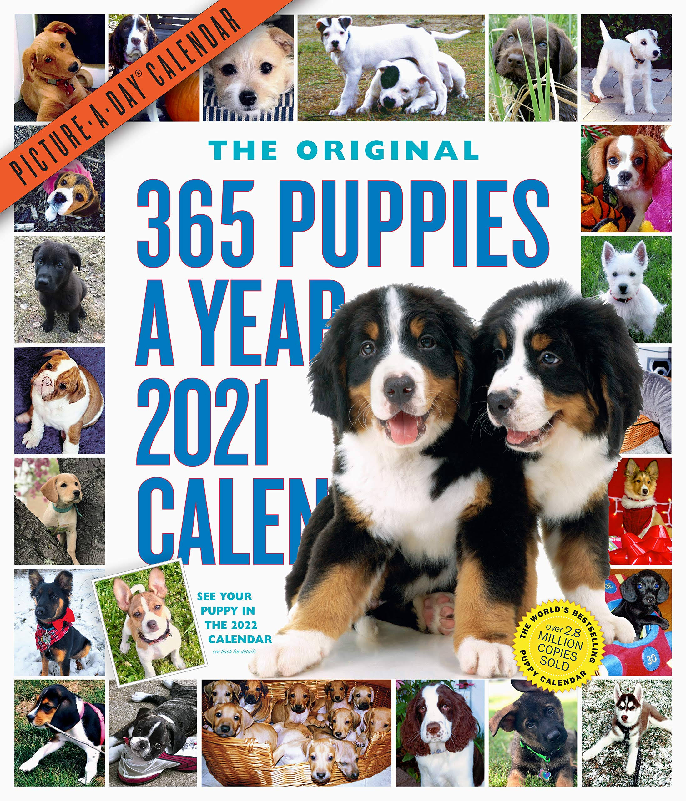 365 PUPPIES-A-YEAR PICTURE-A-DAY WALL CALENDAR 2021 9781523509355