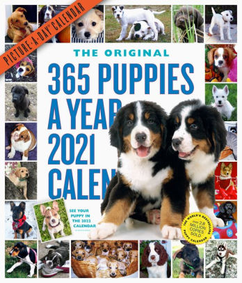 365 PUPPIES-A-YEAR PICTURE-A-DAY WALL CALENDAR 2021 9781523509355