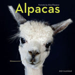 ALPACAS WALL CALENDAR 2021 9781523509805