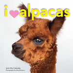 I HEART ALPACAS MINI WALL CALENDAR 2021 9781523509812