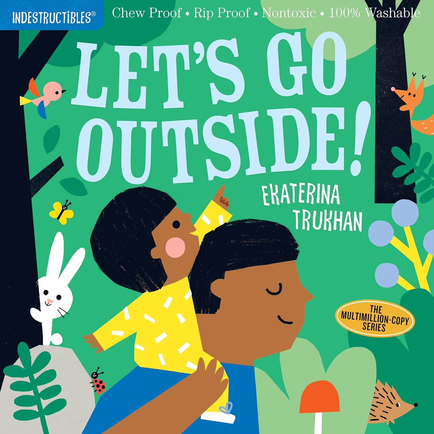 Indestructibles: Let's Go Outside! by Pixton. Amy 9781523509867