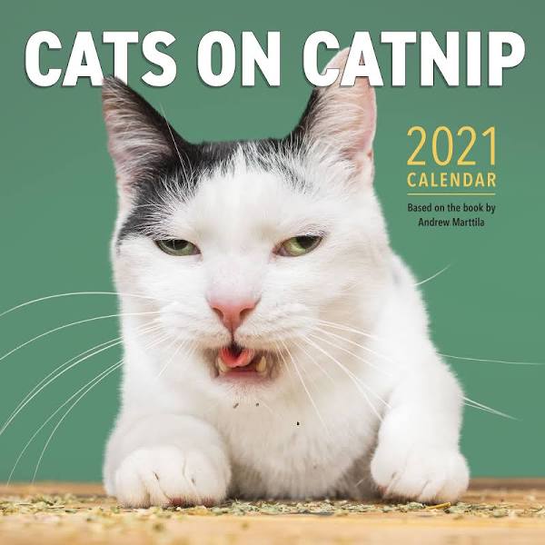 CATS ON CATNIP WALL CALENDAR 2021 9781523509904
